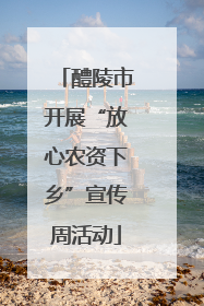 醴陵市开展“放心农资下乡”宣传周活动