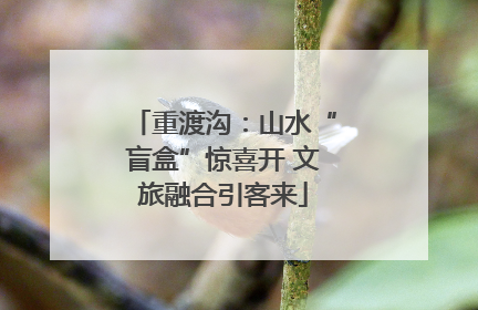 重渡沟：山水“盲盒”惊喜开 文旅融合引客来