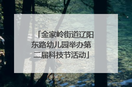 金家岭街道辽阳东路幼儿园举办第二届科技节活动