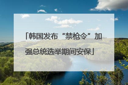 韩国发布“禁枪令”加强总统选举期间安保