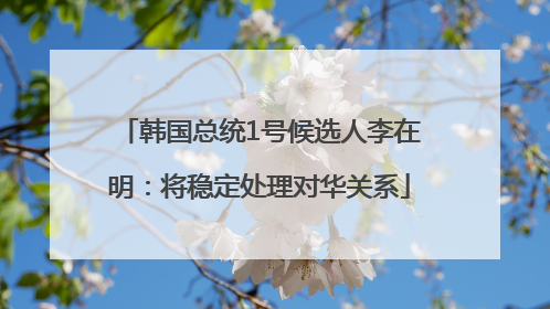 韩国总统1号候选人李在明：将稳定处理对华关系