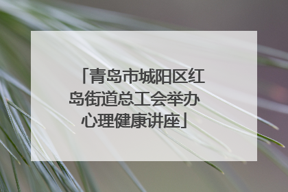 青岛市城阳区红岛街道总工会举办心理健康讲座