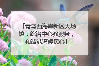 青岛西海岸新区大场镇：综治中心强服务，和谐港湾暖民心