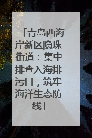 青岛西海岸新区隐珠街道：集中排查入海排污口，筑牢海洋生态防线