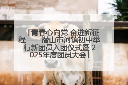 青春心向党 奋进新征程——潜山市河镇初中举行新团员入团仪式暨 2025年度团员大会