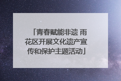 青春赋能非遗 雨花区开展文化遗产宣传和保护主题活动