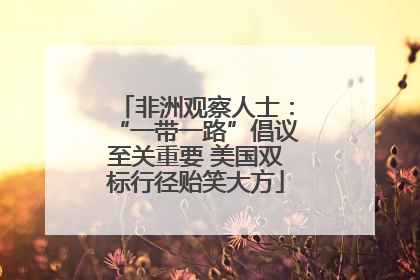 非洲观察人士：“一带一路”倡议至关重要 美国双标行径贻笑大方