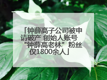 钟薛高子公司被申请破产 创始人账号“钟薛高老林”粉丝仅1800余人