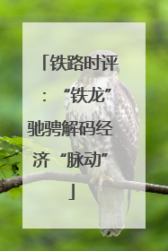 铁路时评：“铁龙”驰骋解码经济“脉动”