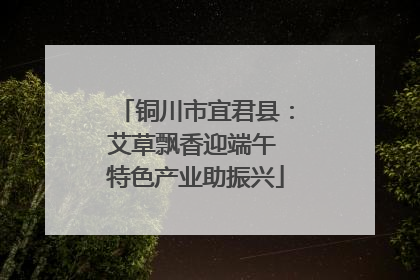 铜川市宜君县：艾草飘香迎端午 特色产业助振兴