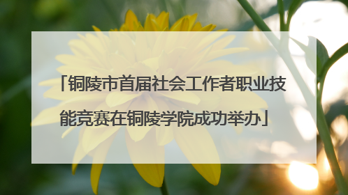 铜陵市首届社会工作者职业技能竞赛在铜陵学院成功举办