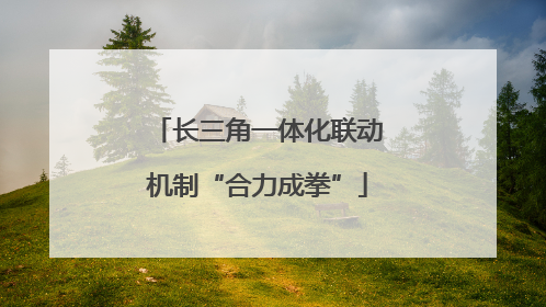 长三角一体化联动机制“合力成拳”