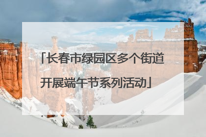 长春市绿园区多个街道开展端午节系列活动