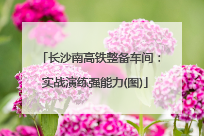 长沙南高铁整备车间：实战演练强能力(图)