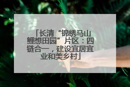 长清“锦绣马山 鲤想田园”片区：四链合一，建设宜居宜业和美乡村