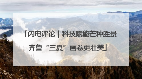 闪电评论｜科技赋能芒种胜景 齐鲁“三夏”画卷更壮美