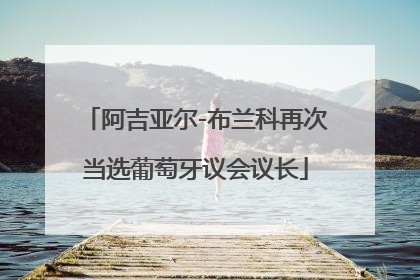 阿吉亚尔-布兰科再次当选葡萄牙议会议长