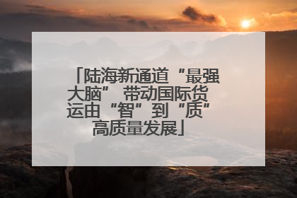 陆海新通道“最强大脑” 带动国际货运由“智”到“质”高质量发展