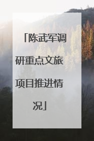 陈武军调研重点文旅项目推进情况
