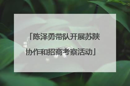 陈泽勇带队开展苏陕协作和招商考察活动