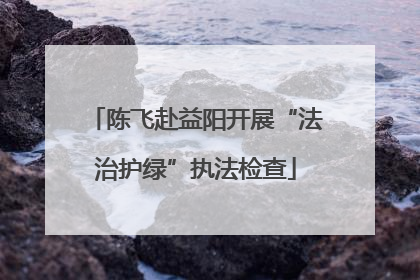 陈飞赴益阳开展“法治护绿”执法检查