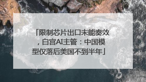 限制芯片出口未能奏效，白宫AI主管：中国模型仅落后美国不到半年