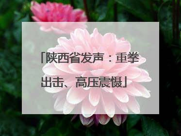 陕西省发声：重拳出击、高压震慑