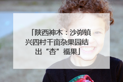 陕西神木：沙峁镇兴四村千亩杂果园结出“杏”福果