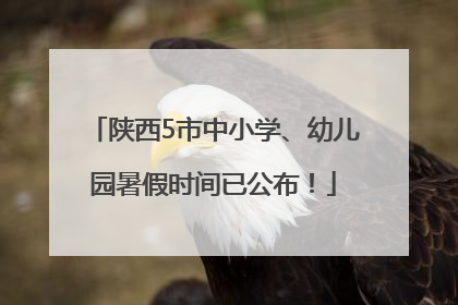 陕西5市中小学、幼儿园暑假时间已公布！
