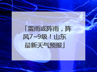 雷雨或阵雨，阵风7~9级！山东最新天气预报