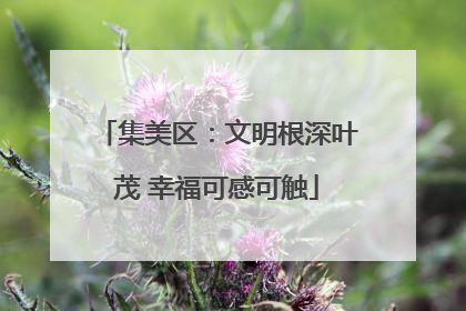 集美区：文明根深叶茂 幸福可感可触