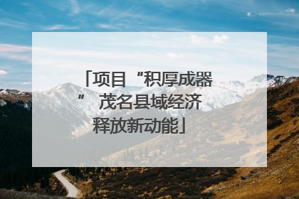 项目“积厚成器” 茂名县域经济释放新动能