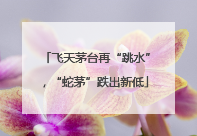 飞天茅台再“跳水”，“蛇茅”跌出新低