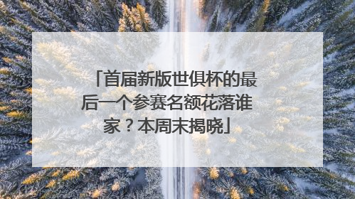首届新版世俱杯的最后一个参赛名额花落谁家？本周末揭晓
