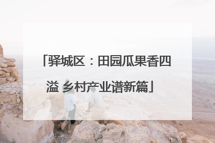 驿城区：田园瓜果香四溢 乡村产业谱新篇