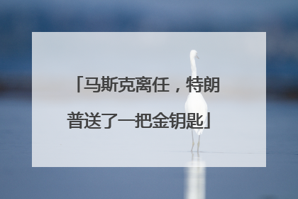 马斯克离任，特朗普送了一把金钥匙