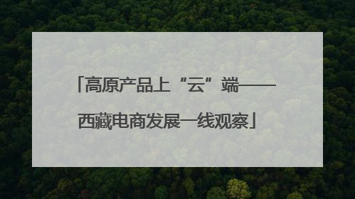 高原产品上“云”端——西藏电商发展一线观察