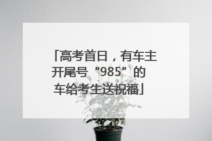 高考首日，有车主开尾号“985”的车给考生送祝福