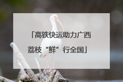高铁快运助力广西荔枝“鲜”行全国