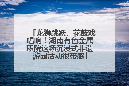 龙狮跳跃、花鼓戏唱响！湖南有色金属职院这场沉浸式非遗游园活动很带感