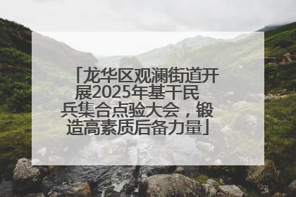 龙华区观澜街道开展2025年基干民兵集合点验大会，锻造高素质后备力量