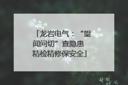 龙岩电气：“望闻问切”查隐患 精检精修保安全