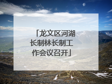 龙文区河湖长制林长制工作会议召开