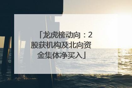 龙虎榜动向：2股获机构及北向资金集体净买入