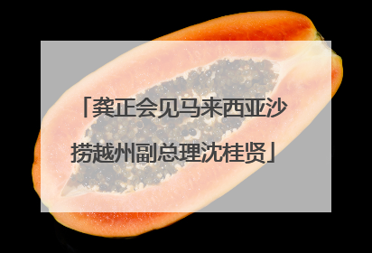 龚正会见马来西亚沙捞越州副总理沈桂贤