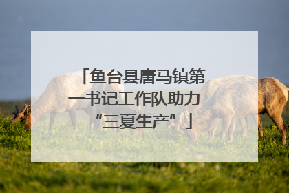 鱼台县唐马镇第一书记工作队助力“三夏生产”