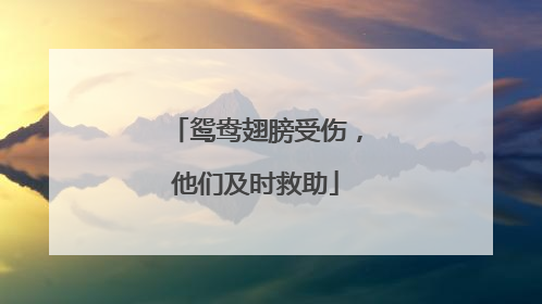 鸳鸯翅膀受伤，他们及时救助