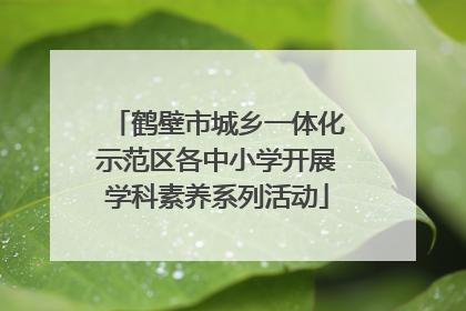 鹤壁市城乡一体化示范区各中小学开展学科素养系列活动