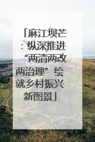 麻江坝芒：纵深推进“两清两改两治理”绘就乡村振兴新图景