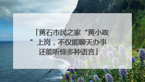 黄石市民之家“黄小政”上岗，不仅能聊天办事还能听懂多种语言